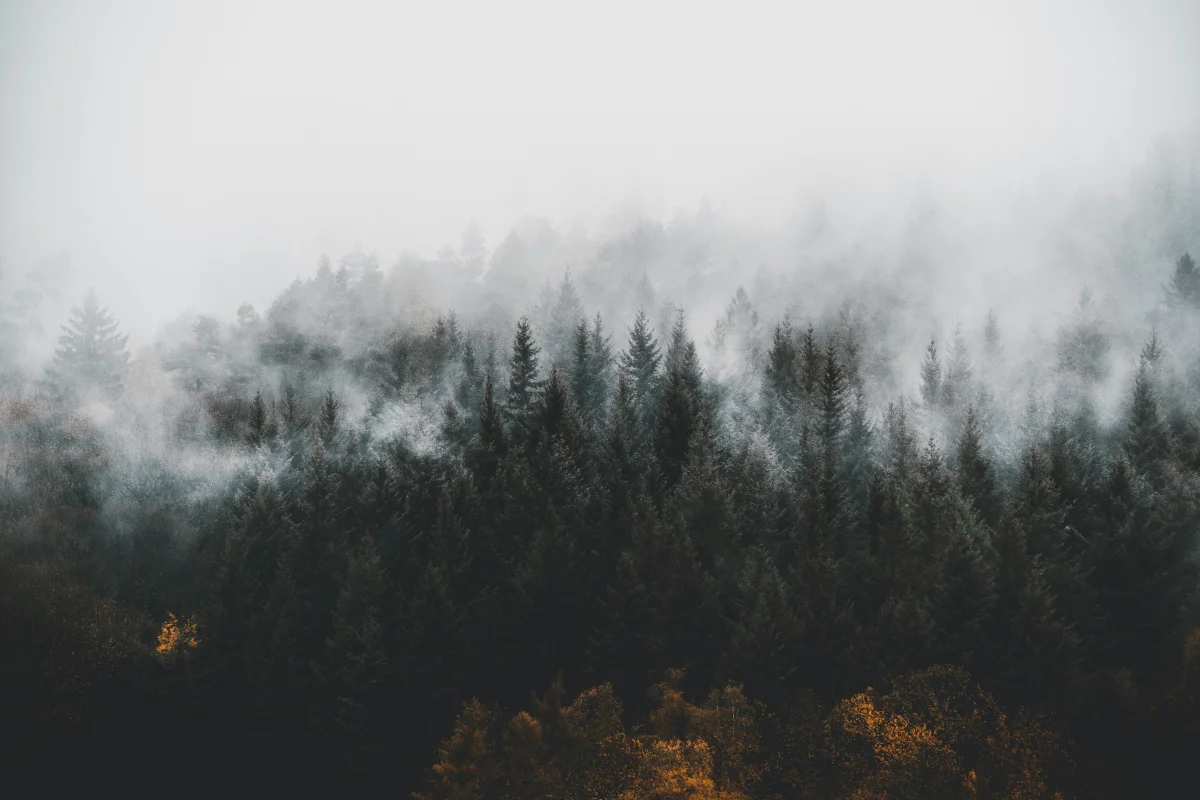 Photo by Lili Kovac on Unsplash https://unsplash.com/@lilschk