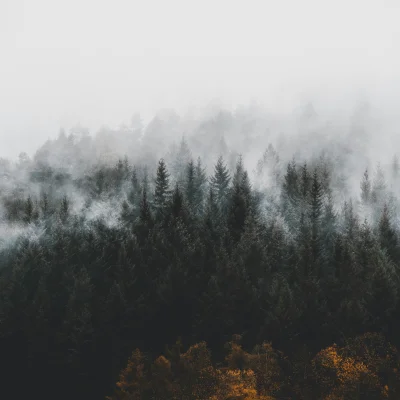 Photo by Lili Kovac on Unsplash https://unsplash.com/@lilschk